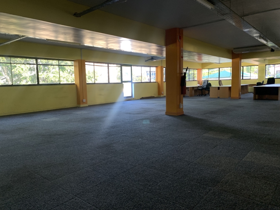 To Let commercial Property for Rent in Rondebosch Western Cape